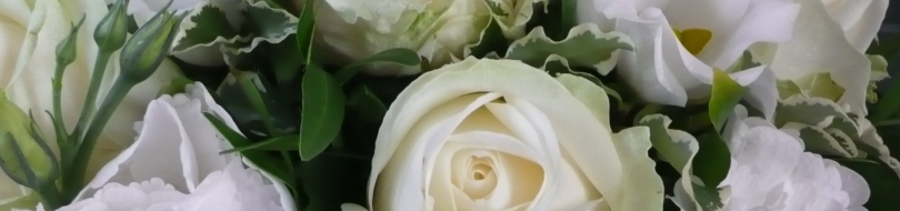 Panfötenklänge an Ihrer Hochzeit